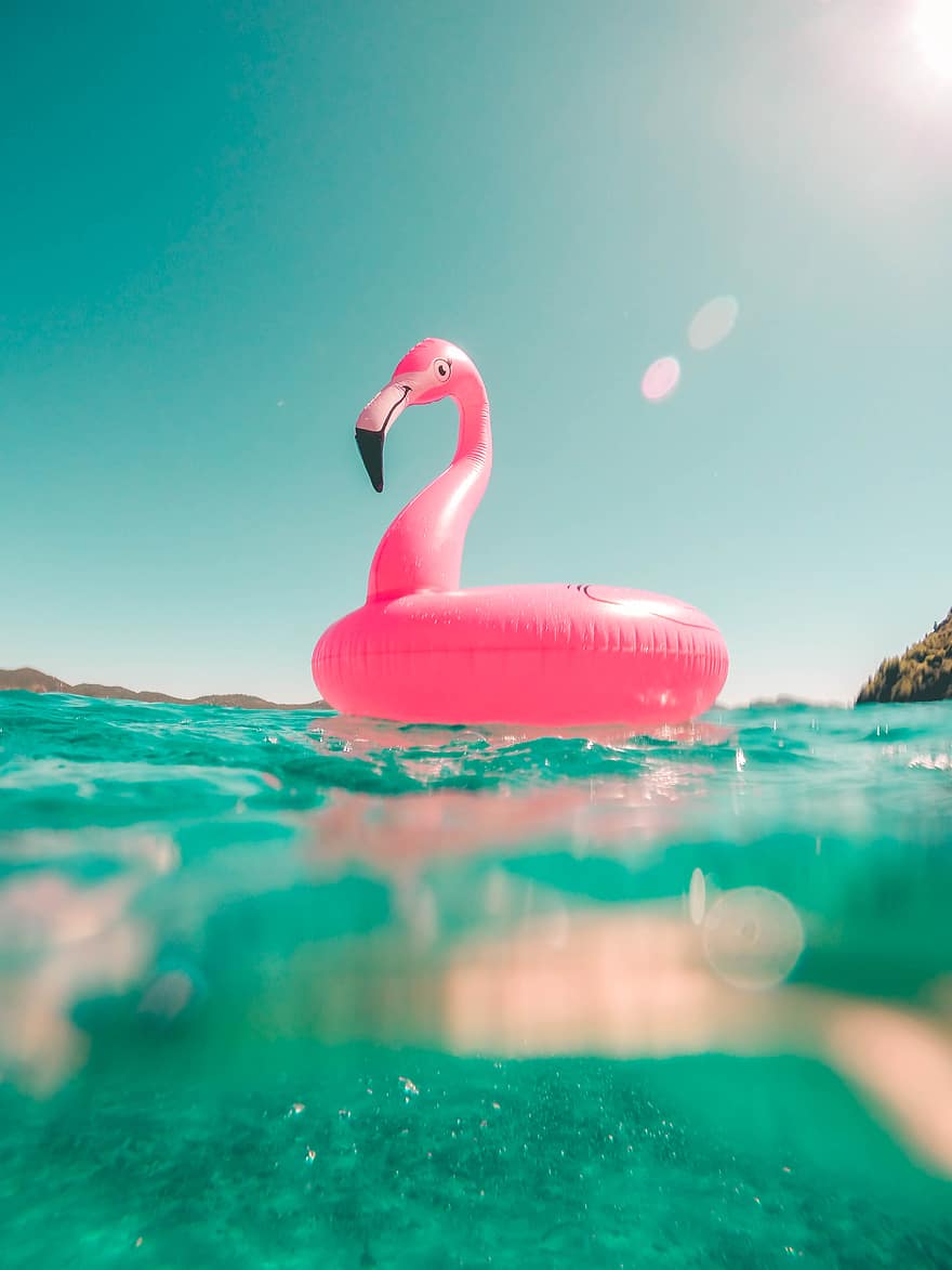 summer waves flamingo