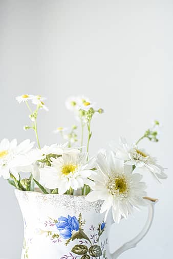 写真のキーワード Pnat Anyrgb